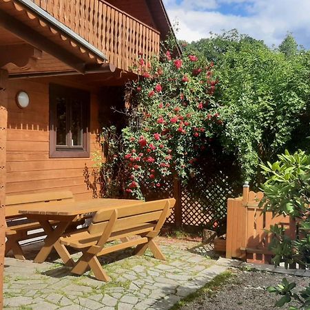 Chata Gorska Sowa Dla 12 Osob, 4 Sypialnie,Salon Z Kominkiem Villa Podgórzyn Eksteriør billede