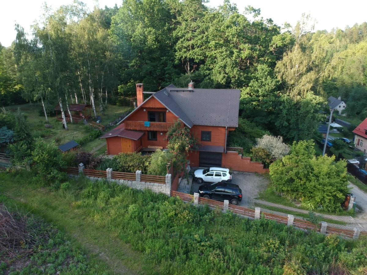 Chata Gorska Sowa Dla 12 Osob, 4 Sypialnie,Salon Z Kominkiem Villa Podgórzyn Eksteriør billede
