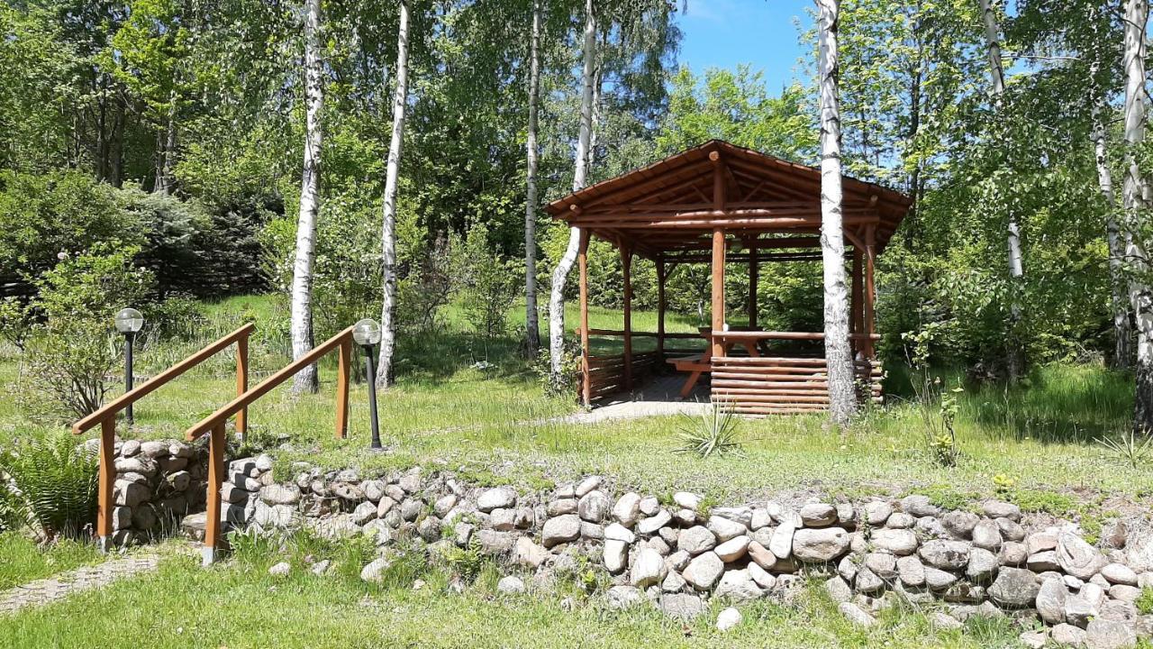 Chata Gorska Sowa Dla 12 Osob, 4 Sypialnie,Salon Z Kominkiem Villa Podgórzyn Eksteriør billede