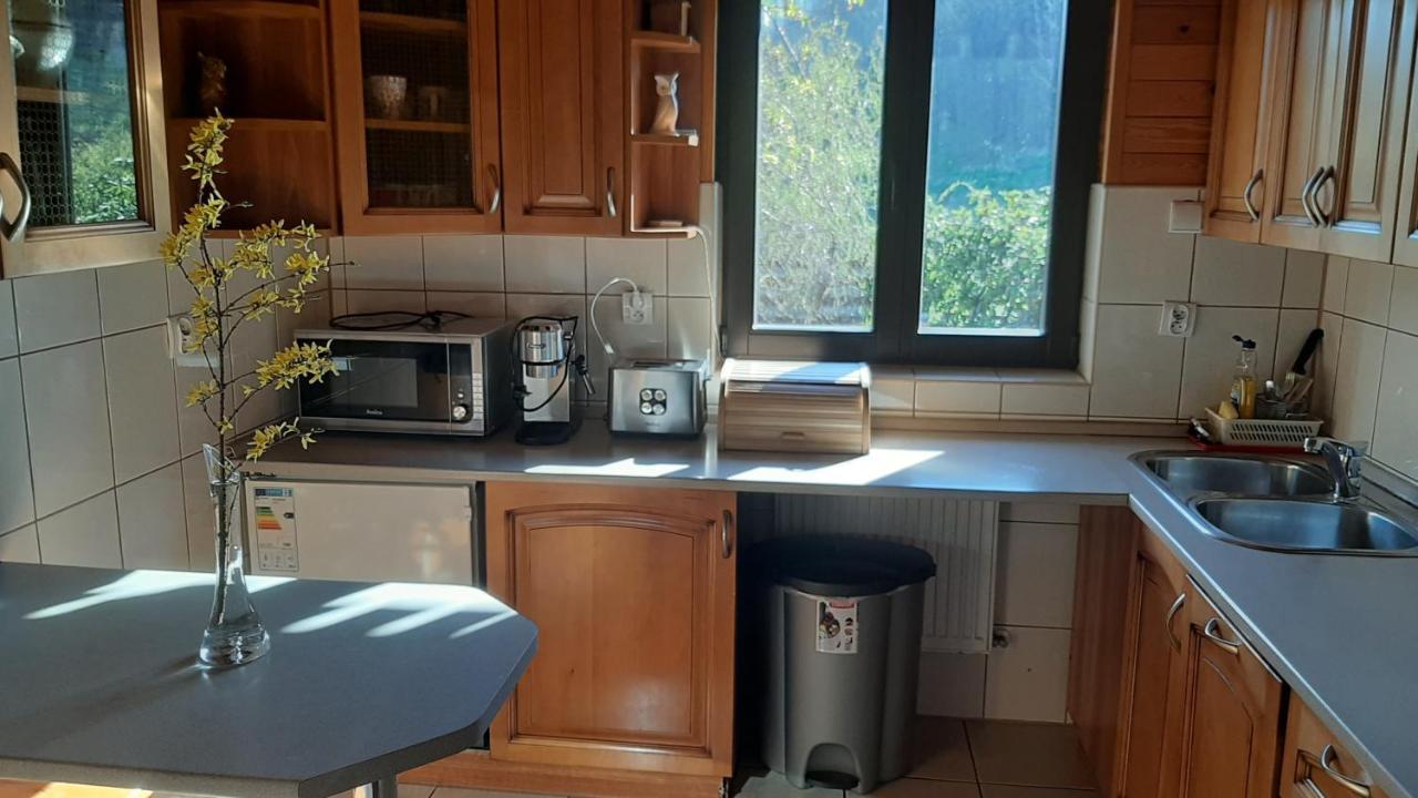 Chata Gorska Sowa Dla 12 Osob, 4 Sypialnie,Salon Z Kominkiem Villa Podgórzyn Eksteriør billede