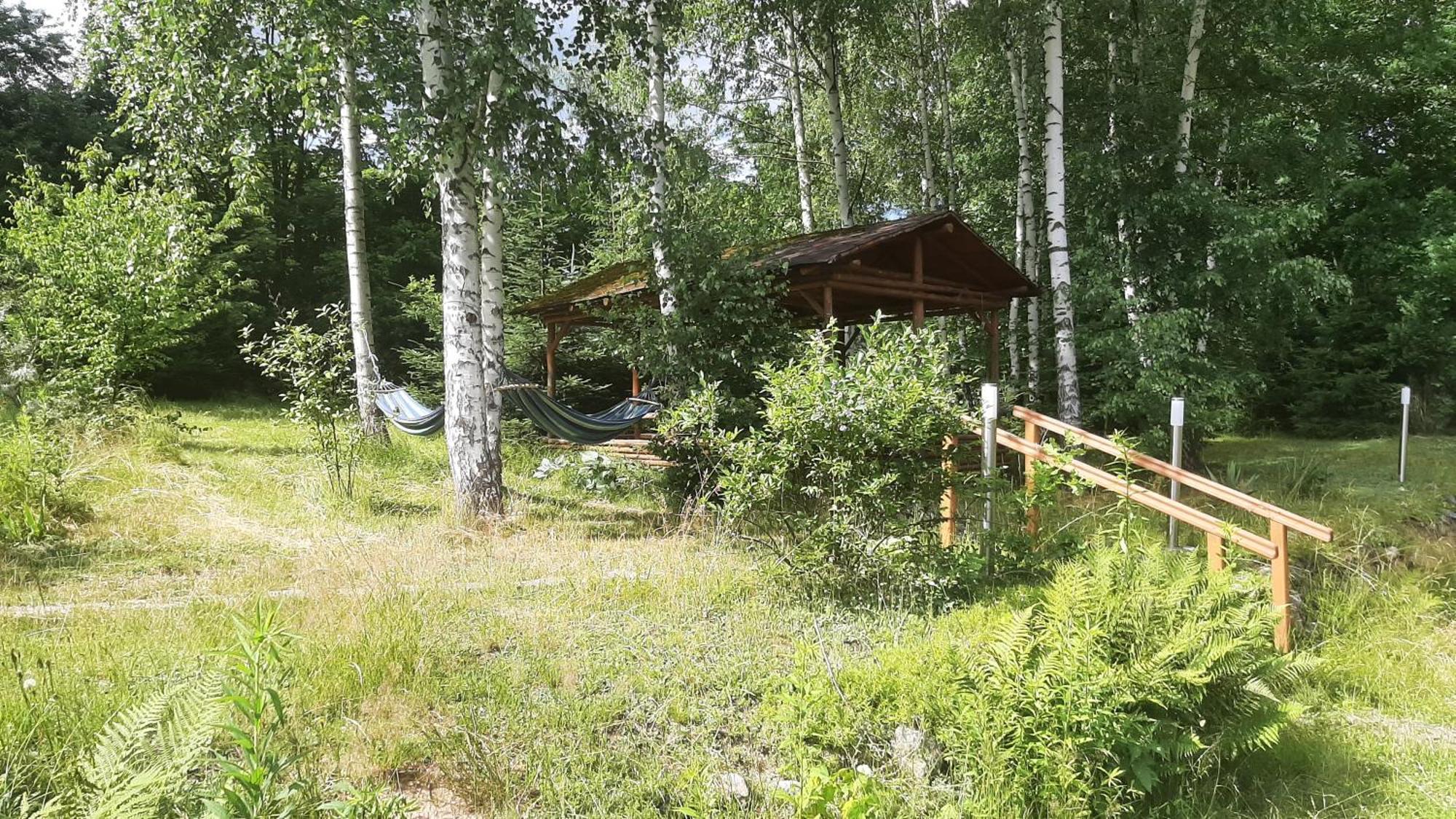 Chata Gorska Sowa Dla 12 Osob, 4 Sypialnie,Salon Z Kominkiem Villa Podgórzyn Eksteriør billede